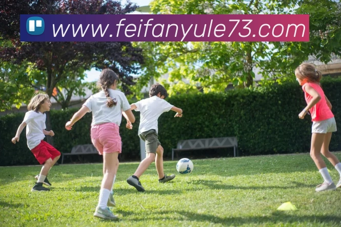 非凡娱乐发展历程